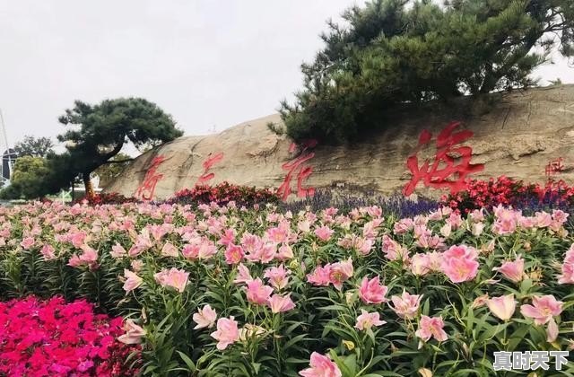 仪征天气24小时 - 真时天下