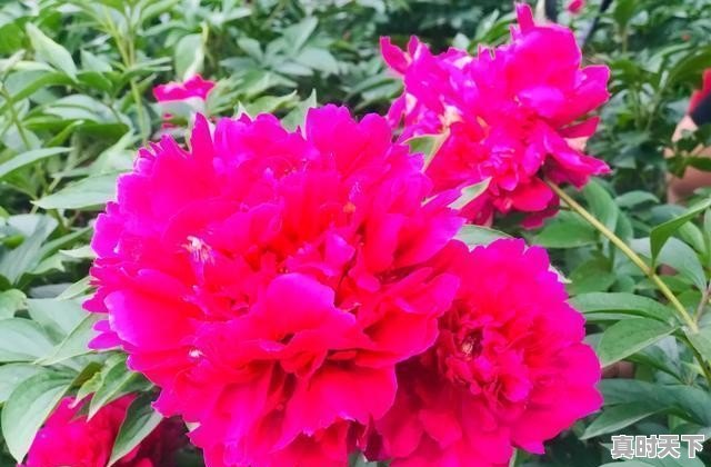 仪征天气24小时 - 真时天下