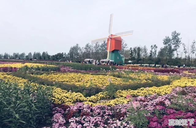 仪征天气24小时 - 真时天下