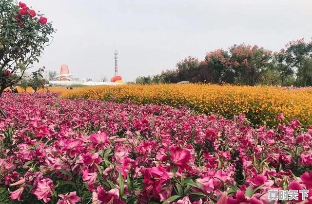 仪征天气24小时 - 真时天下