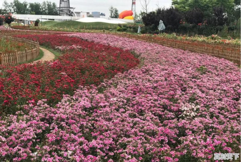 仪征天气24小时 - 真时天下