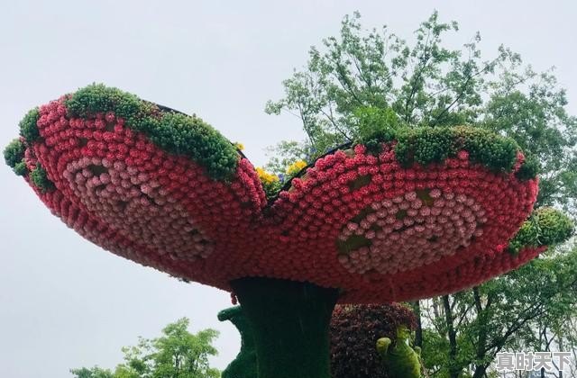 仪征天气24小时 - 真时天下