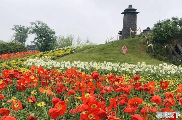 仪征天气24小时 - 真时天下