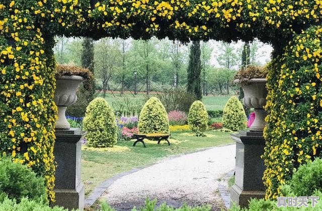 仪征天气24小时 - 真时天下