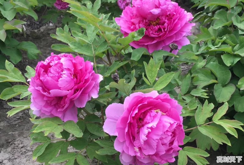 仪征天气24小时 - 真时天下