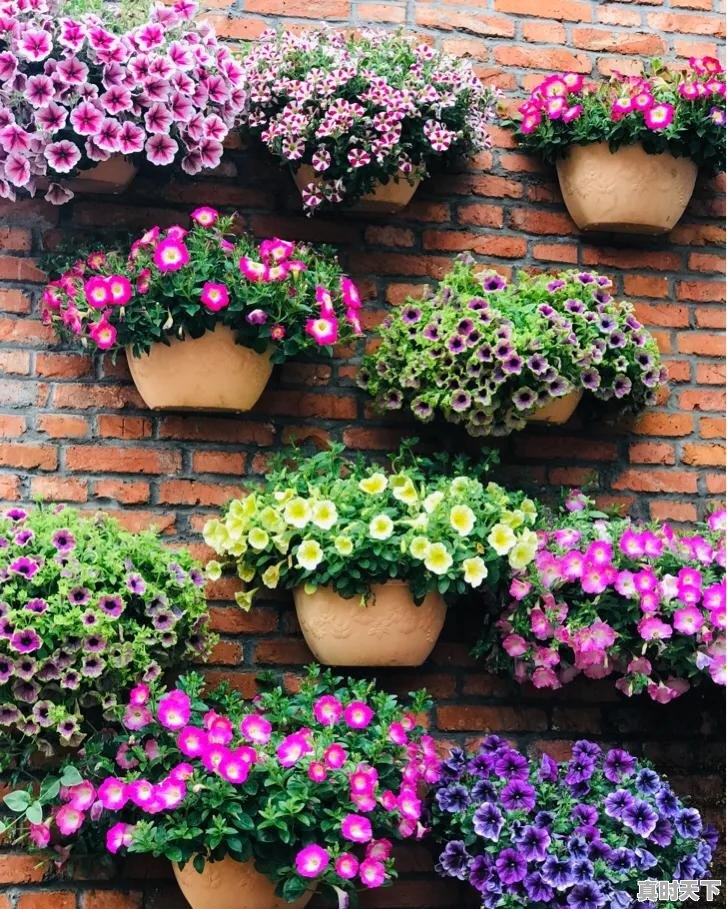 仪征天气24小时 - 真时天下