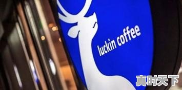 瑞幸为何自曝 - 真时天下