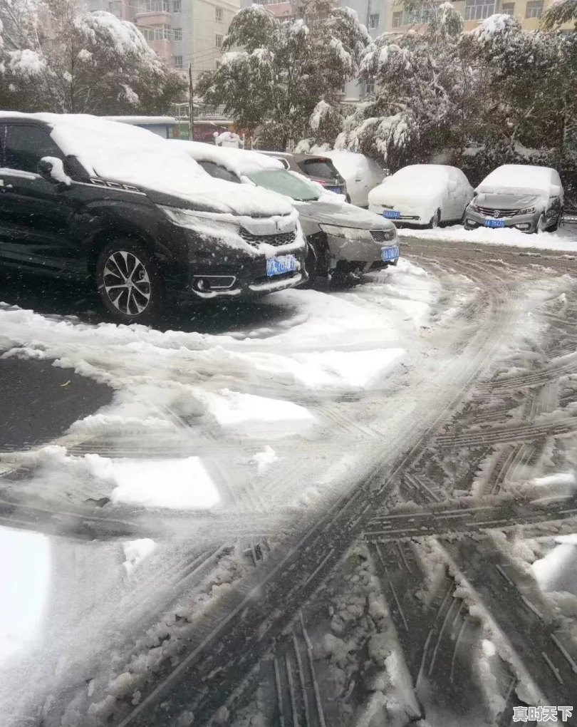 2018年苏州下了第一场雪，你所在的城市下雪了吗，你期待下雪吗 - 真时天下