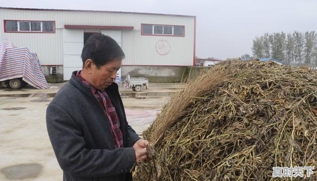 如何看待山东寿光被淹，水库方面称“不放水更严重” - 真时天下