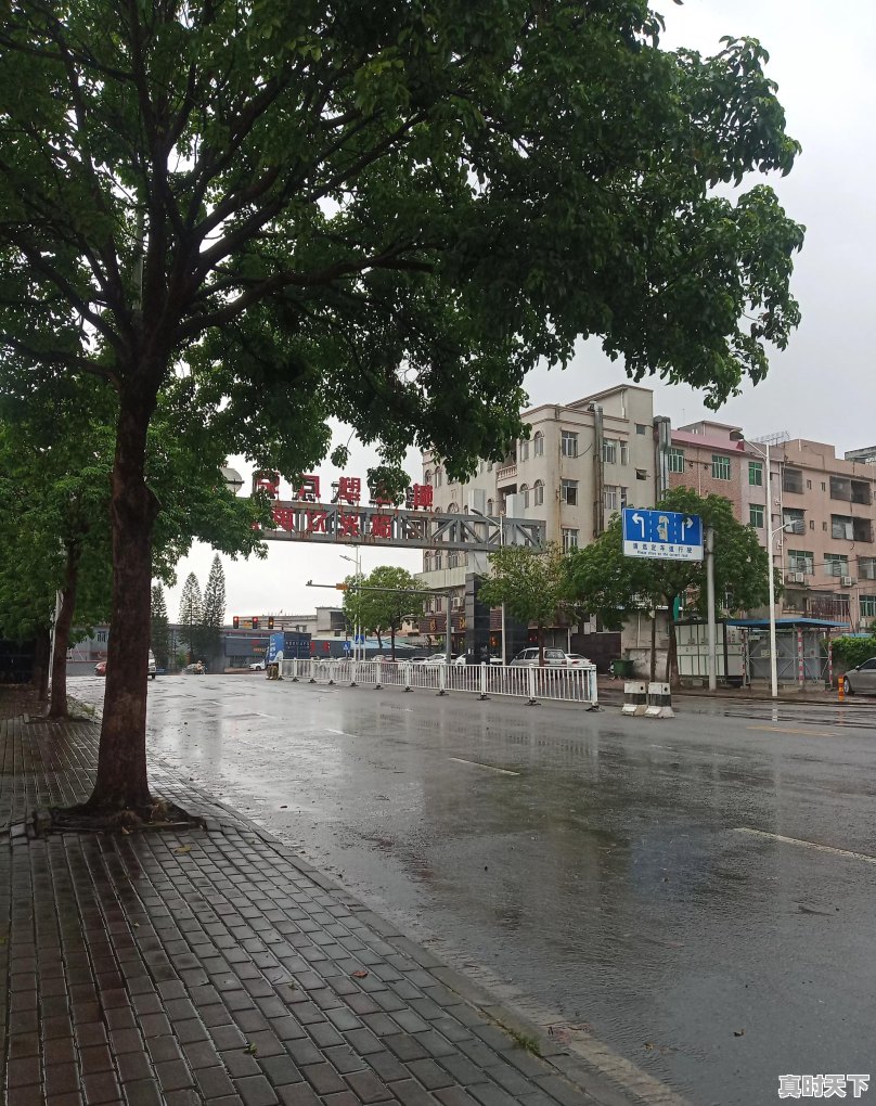 重庆什么时候能迎来降温的雨 - 真时天下