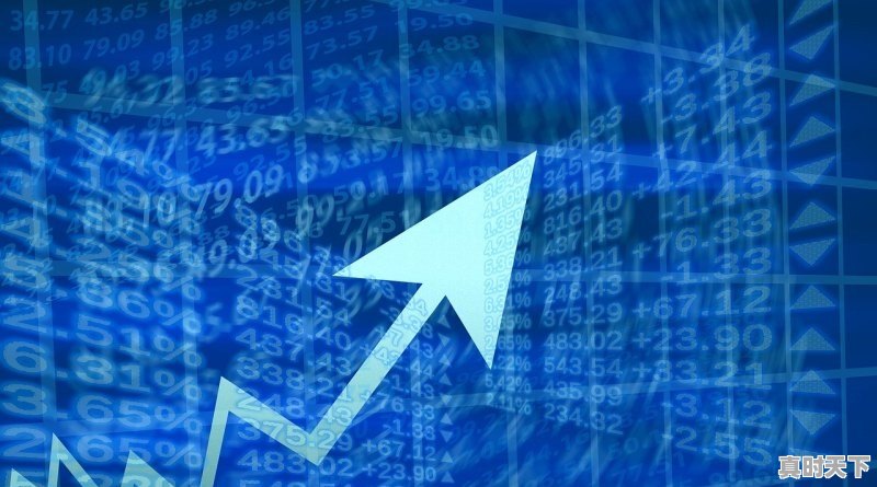 股票中的高手都是怎样盈利的 - 真时天下