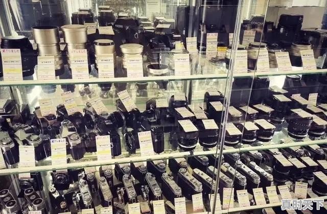 东京银座电影节门票价格查询 - 真时天下