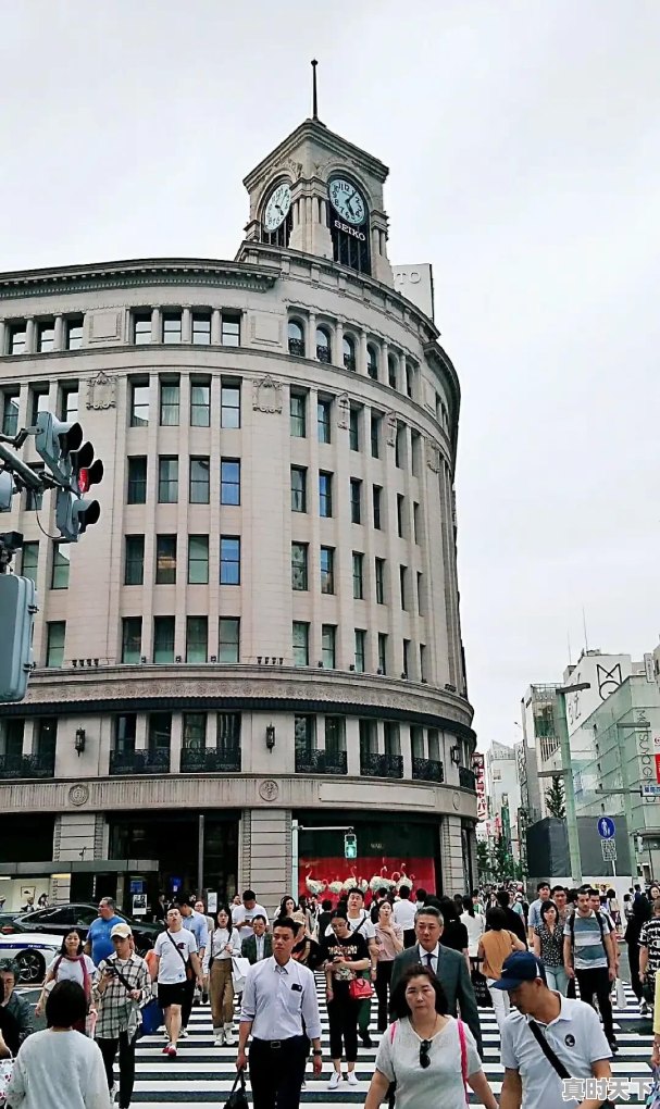 东京银座电影节门票价格查询 - 真时天下