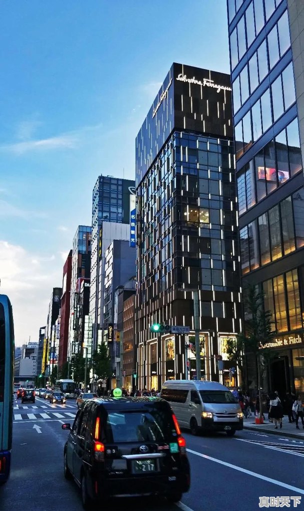 东京银座电影节门票价格查询 - 真时天下