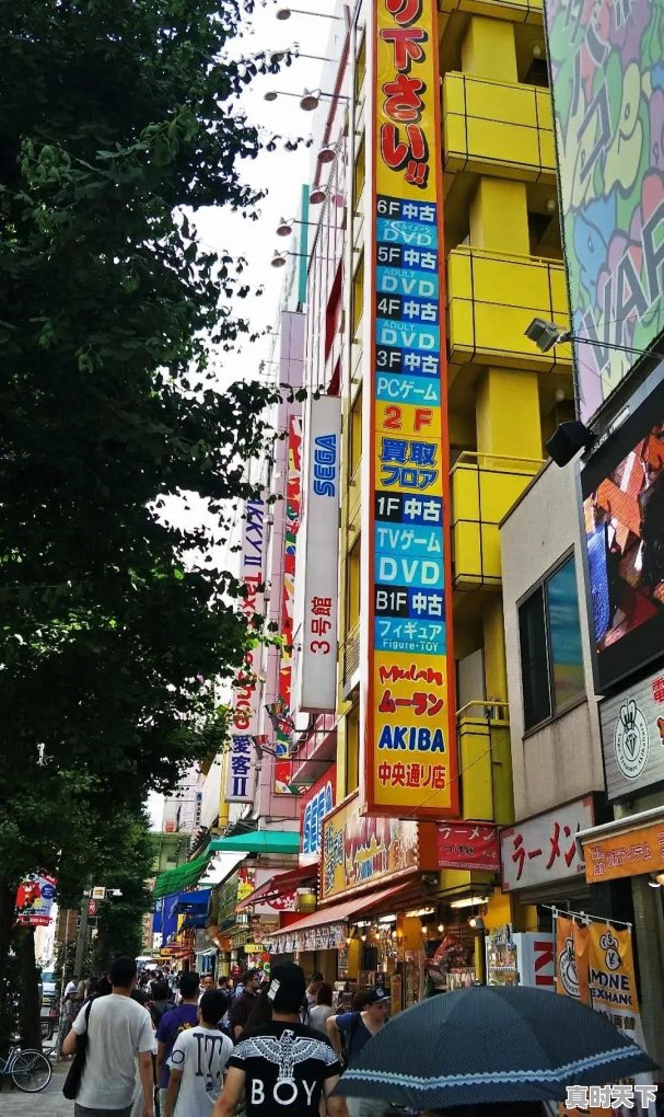 东京银座电影节门票价格查询 - 真时天下