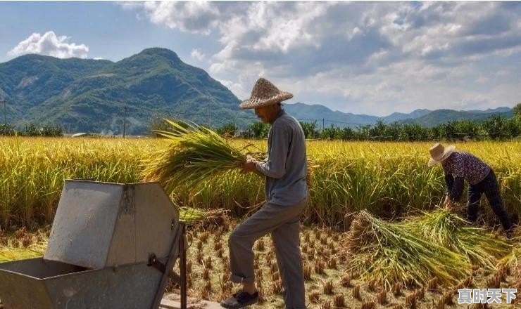 你见过历史上最低调的将军，他低调到什么程度 - 真时天下