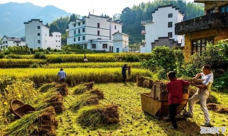 你见过历史上最低调的将军，他低调到什么程度 - 真时天下