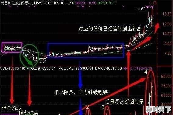 短线股票建仓技巧详解 - 真时天下