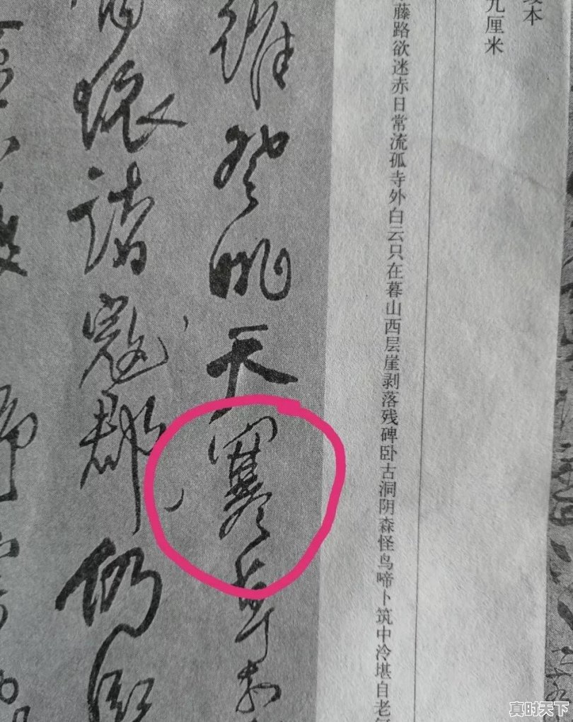 王铎的“寒”字和 “新”字为何多一横？该怎么理解 - 真时天下