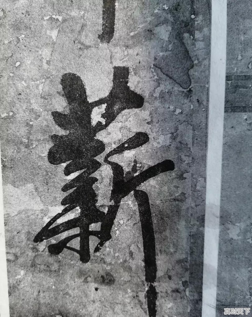 王铎的“寒”字和 “新”字为何多一横？该怎么理解 - 真时天下