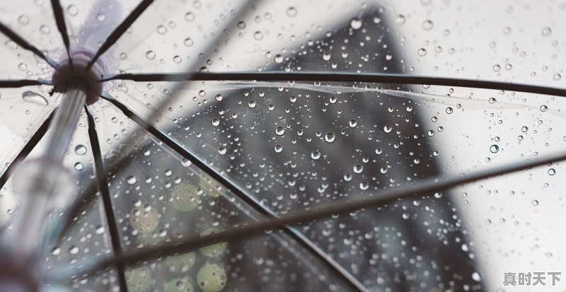 股票今天低位加仓第二天高抛的话成本会降低吗 - 真时天下