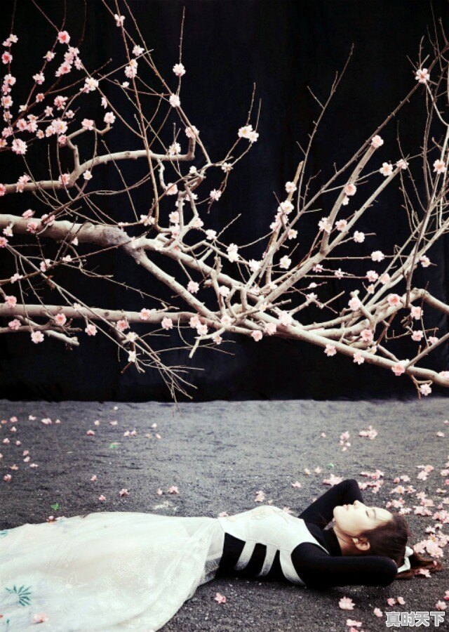 如何评价刘亦菲获得金扫帚最令人失望女演员奖一事 - 真时天下