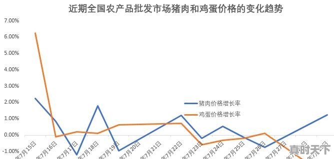 当“高价猪”遇上“火箭蛋”，菜篮子还能hold住吗 - 真时天下