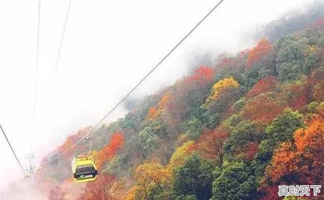 贵阳电影节红地毯门票价格表 - 真时天下