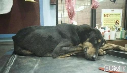 里欧·万塔(外文名:Leo Wanta)是真正的世界首富,他有27万亿美元,他的钱从何而来 - 真时天下