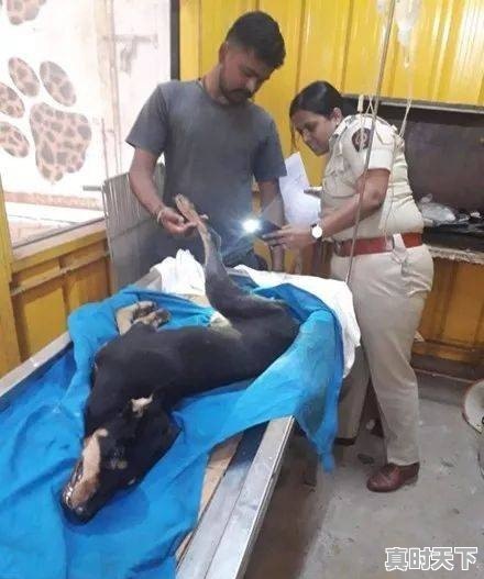 里欧·万塔(外文名:Leo Wanta)是真正的世界首富,他有27万亿美元,他的钱从何而来 - 真时天下