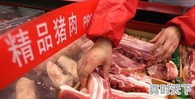 生猪价格下跌、冷鲜猪肉价格变化明显（便宜了），囤肉吗 - 真时天下