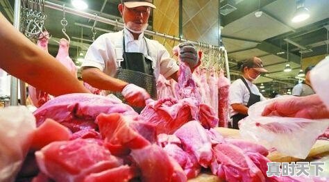 生猪价格下跌、冷鲜猪肉价格变化明显（便宜了），囤肉吗 - 真时天下