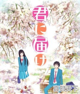 超好看已完结的动漫推荐 - 真时天下