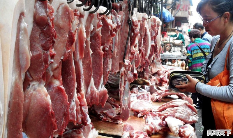 乡下猪肉今日行情最新价格 - 真时天下