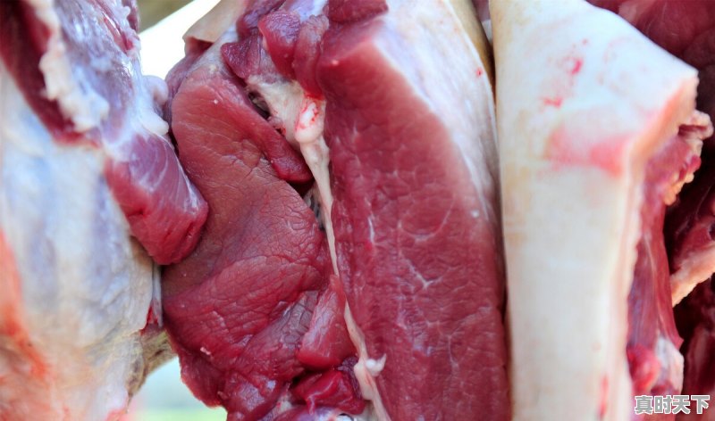 乡下猪肉今日行情最新价格 - 真时天下