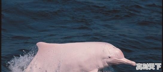 石首天气预 - 真时天下