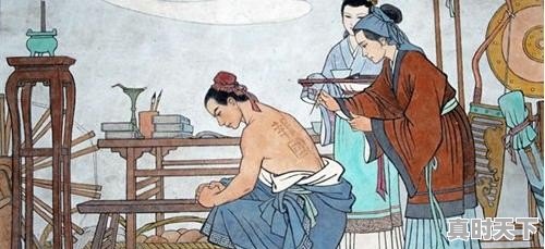 中药材种植会成为下一个农业的风口么？为什么 - 真时天下