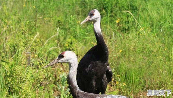 黑河逊克天气 - 真时天下