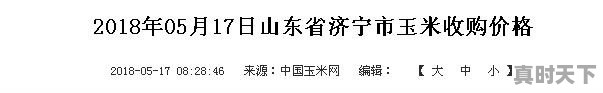 玉米涨“急眼”了！大涨320元！啥情况 - 真时天下