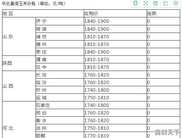 玉米涨“急眼”了！大涨320元！啥情况 - 真时天下