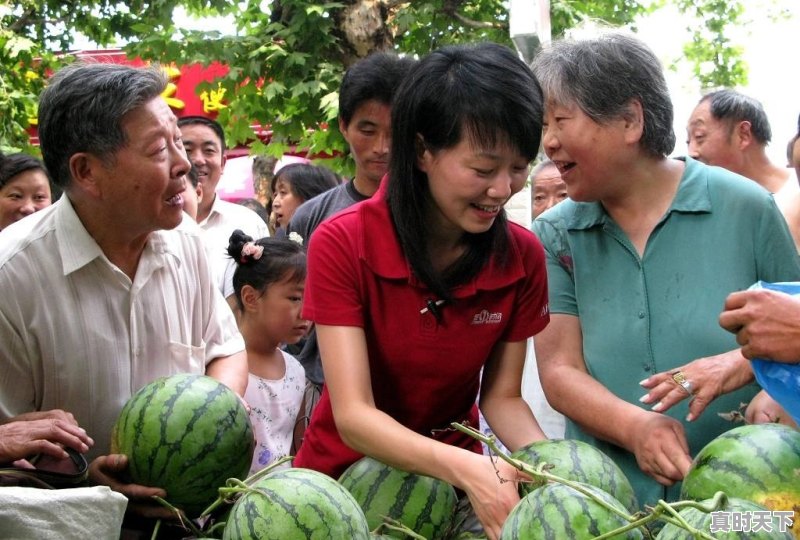 周口地区种植黄瓤西瓜，都有什么好品种 - 真时天下