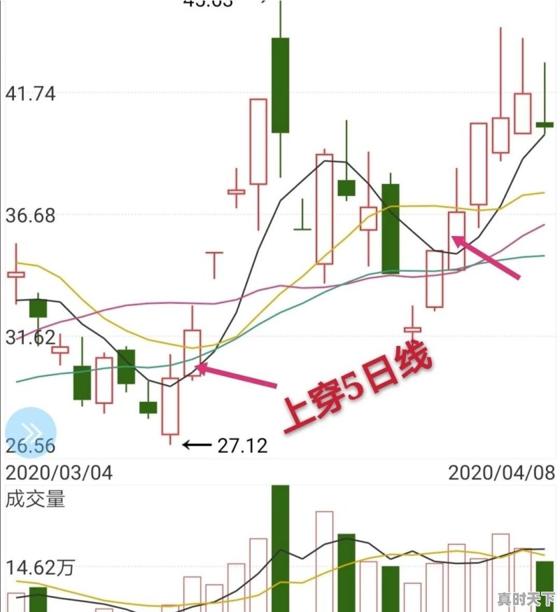 什么样的股票可以长期持有 - 真时天下