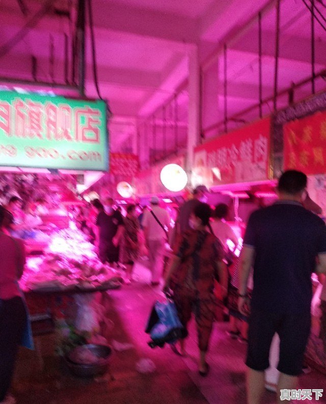 15省份猪肉价格下跌,最低16.8元一斤,目前各地涨跌行情如何 - 真时天下