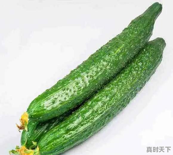 广东今日水果青瓜价格走势 - 真时天下