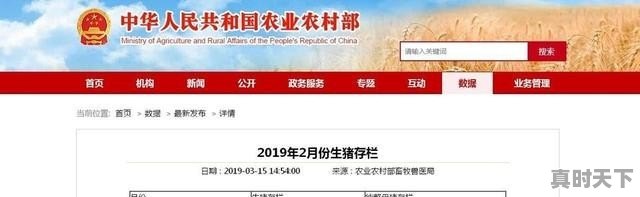 15公斤的仔猪价格达到了1000元/头，为什么还有人敢买 - 真时天下