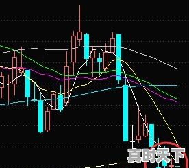 股票要如何建仓？股票短线操作的建仓技巧是什么 - 真时天下