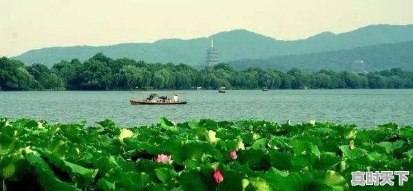 春季出去手机拍照，分享一下你手机拍的花和风景照可以吗 - 真时天下