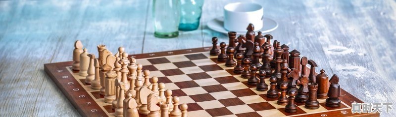 国外3大电影节获奖名单最新 - 真时天下