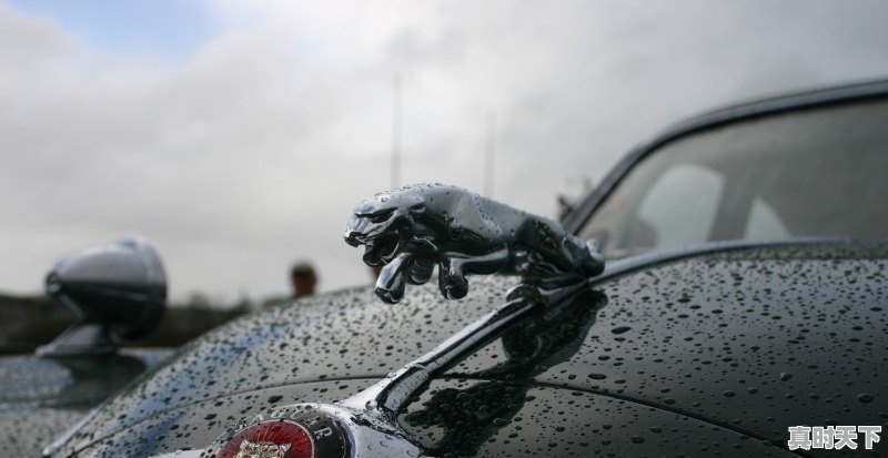 新手买二手车练手,适合哪些车 - 真时天下