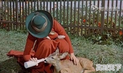 你还记得罗密·施奈德这位女演员吗？她表演的电影《茜茜公主》好看吗 - 真时天下